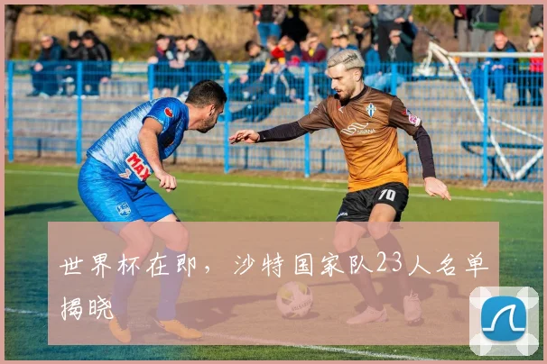 世界杯在即，沙特国家队23人名单揭晓