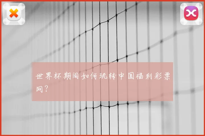 世界杯期间如何玩转中国福利彩票网？