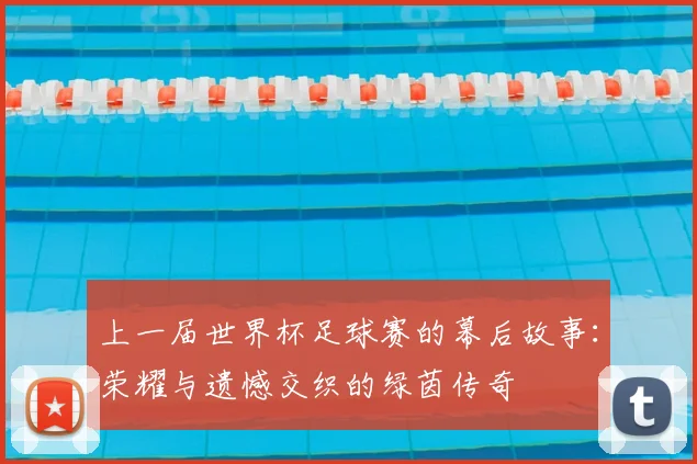 上一届世界杯足球赛的幕后故事：荣耀与遗憾交织的绿茵传奇