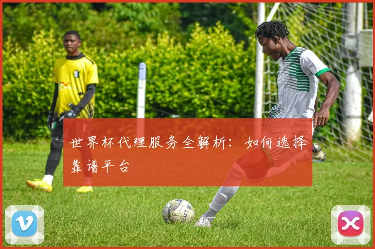 世界杯代理服务全解析:如何选择靠谱平台