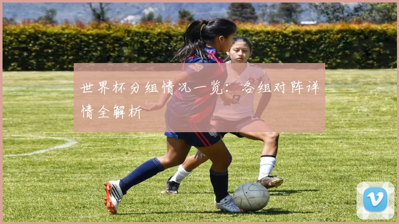 世界杯分组情况一览：各组对阵详情全解析