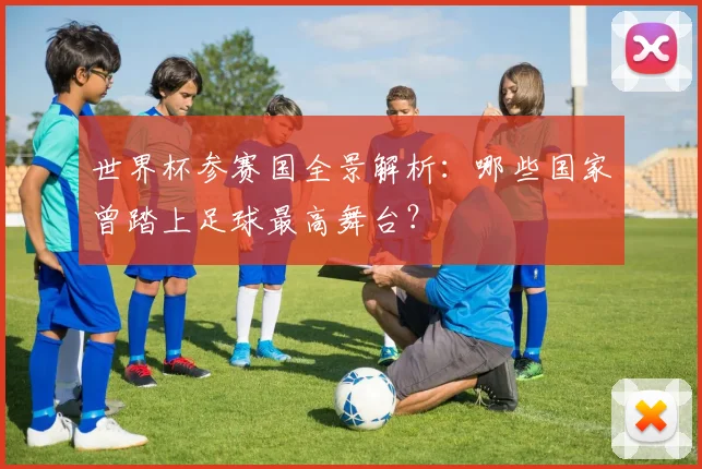 世界杯参赛国全景解析:哪些国家曾踏上足球最高舞台?