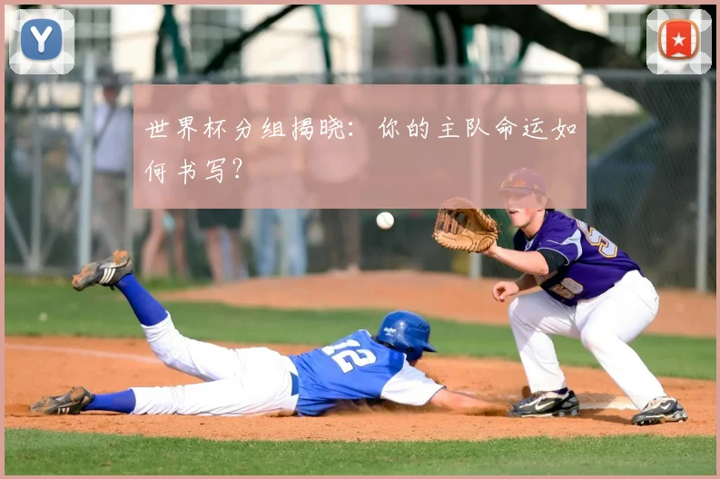 世界杯分组揭晓:你的主队命运如何书写?