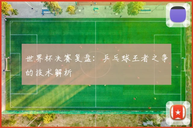 世界杯决赛复盘:乒乓球王者之争的技术解析