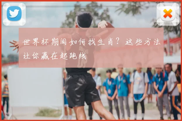 世界杯期间如何找生肖?这些方法让你赢在起跑线