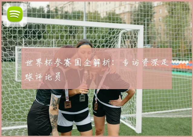 世界杯参赛国全解析:专访资深足球评论员