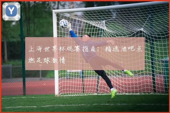 上海世界杯观赛指南：精选酒吧点燃足球激情
