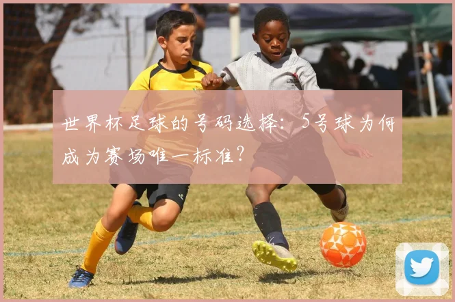 世界杯足球的号码选择:5号球为何成为赛场唯一标准?